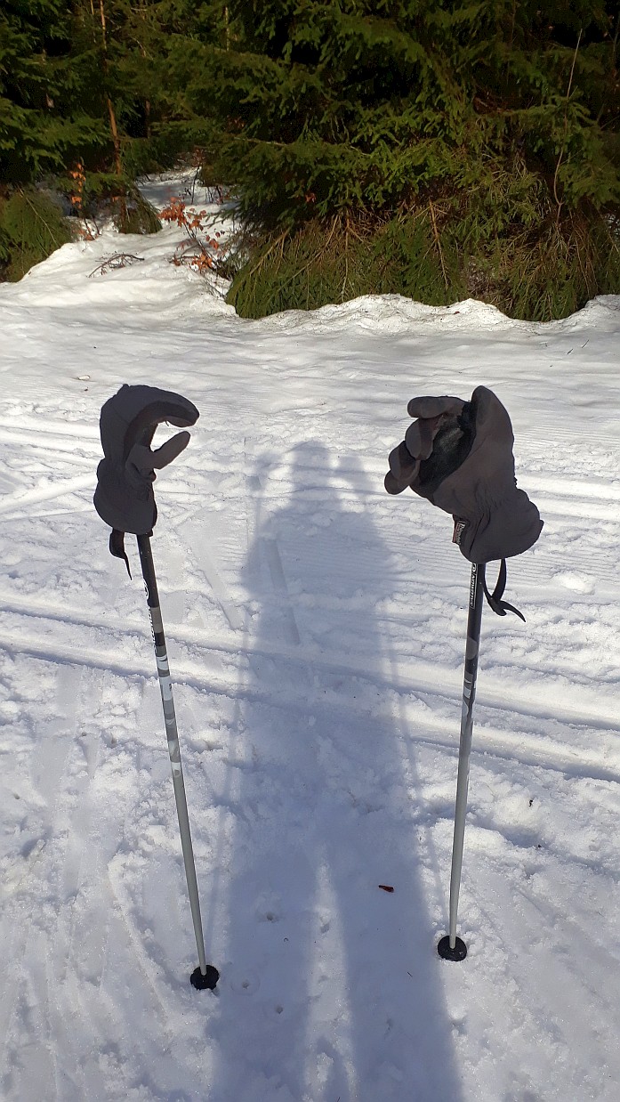 Schatten-Skilangläufer 19 02 21
