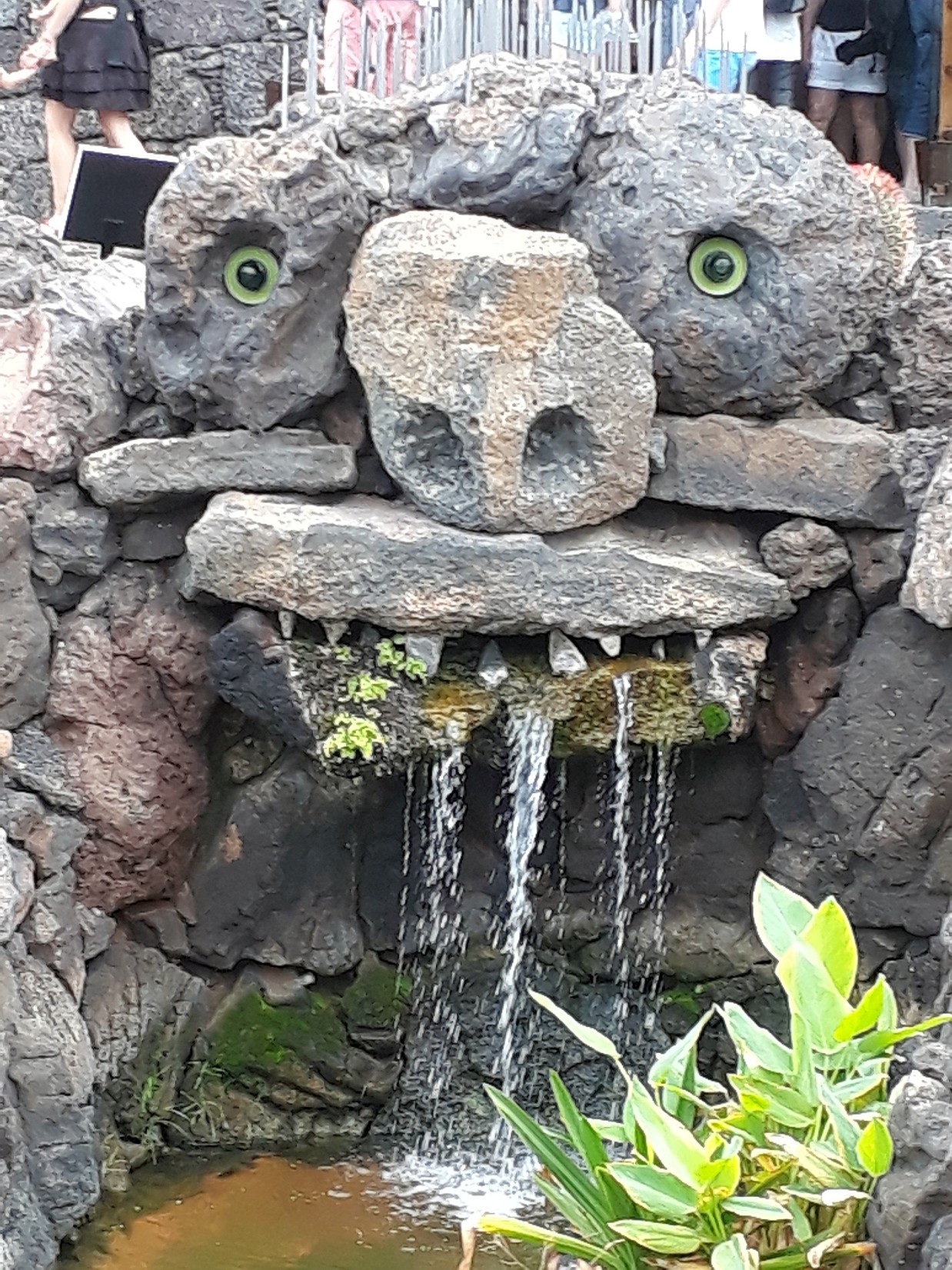 Kobold von Manrique, Jardin Cactus Lanzarote, Oktober 2017