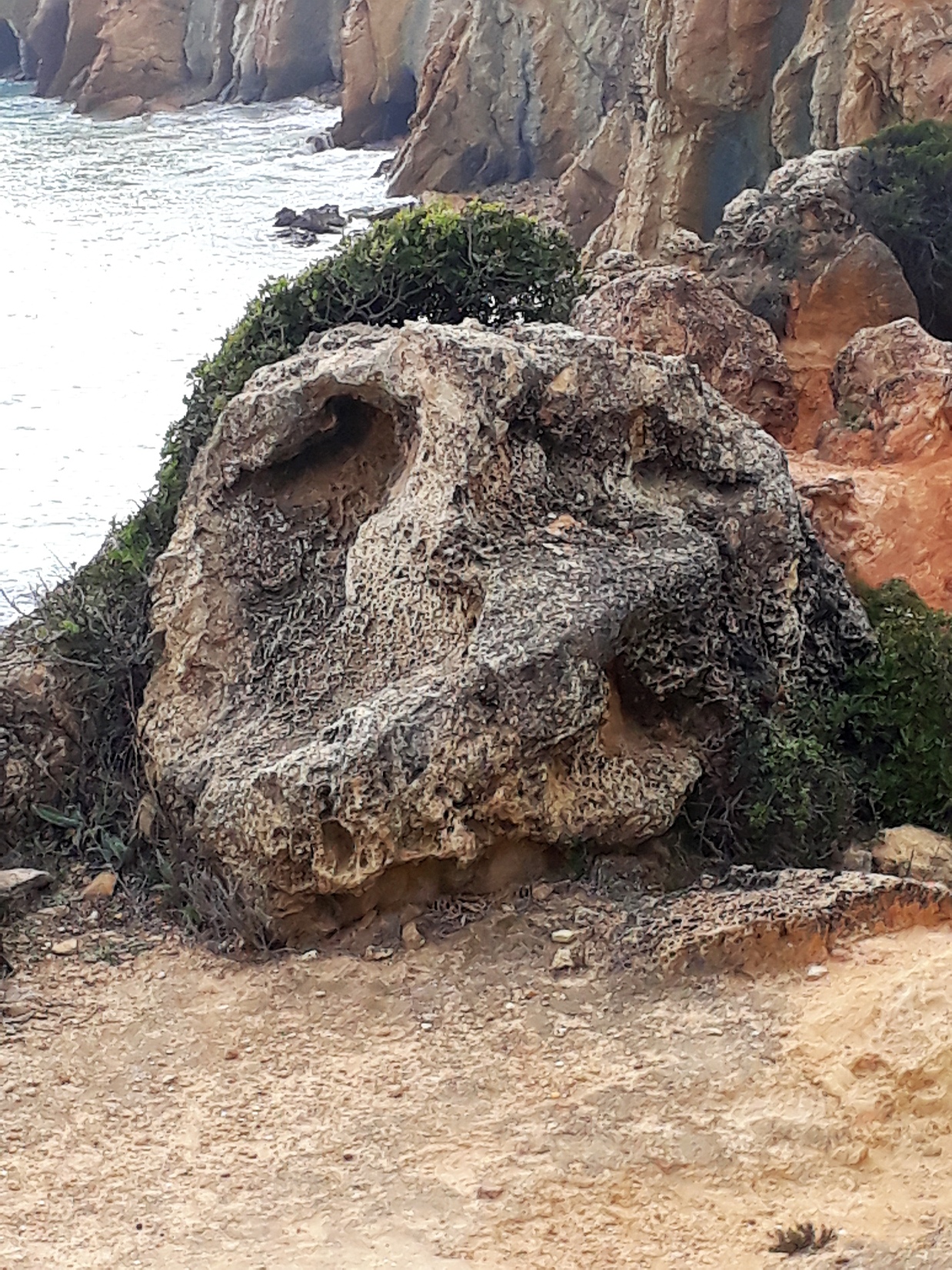 Schdel eines Kobolds Algarve